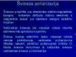 Šviesos poliarizacija 1