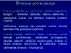 Šviesos poliarizacija