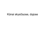 Archimedo jėga prezentacija 1