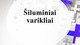 Šiluminiai ir vidaus degimo varikliai