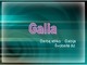 Galia skaidrės