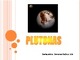 Plutonas pristatymas (2)