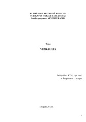 Vibracija referatas 1