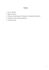 Vibracija referatas 2
