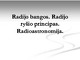 Radijo bangos