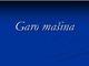 Garo mašina skaidrės