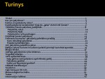 Dirbtinai Žemės palydovai 2
