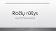 Rožių rūšys