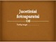 Juostiniai fotoaparatai