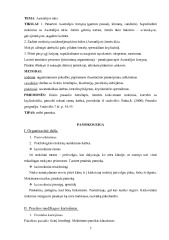 Australijos ūkis geografijos pamokos planas 1