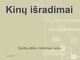 Kinų išradimai skaidrės