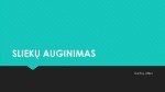 Sliekų auginimas 1