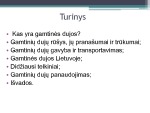 Gamtinių dujų gavyba ir panaudojimas pasaulyje ir Lietuvoje 2
