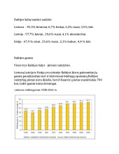 Baltijos šalys projektas 2