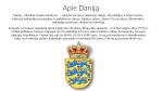 Danija projektas 3