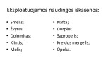 Naudingosios iškasenos ir jų panaudojimas skaidrės 3