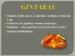 Baltijos gintaras 3