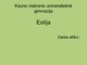 Estija skaidrės