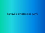 Lietuvoje nykstančios žuvys 1