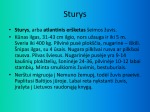 Lietuvoje nykstančios žuvys 2