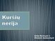 Kuršių Nerija projektas (2)