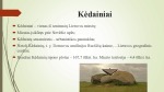 Kėdainiai projektas 2