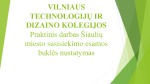 Šiaulių miesto susisiekimo esamos būklės nustatymas 1