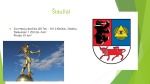 Šiaulių miesto susisiekimo esamos būklės nustatymas 2