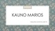 Kauno Marios