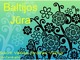 Baltijos jūra projektas