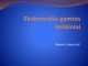 Ekstremalūs gamtos reiškiniai