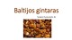 Baltijos gintaro rūšys