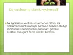 Darnus vystymasis projektas 2