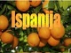 Skaidrės Ispanija