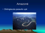 Pietų amerikos rekordai skaidrės 3