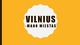 Vilnius - mano miestas