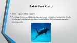 Žakas Ivas Kusto 2