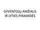 Gyventojų amžiaus ir lyties piramidės 