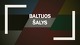 Baltijos šalių geografinė padėtis