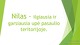 Nilas prezentacija