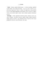 Vandens pasiskirstymas žemėje: Vandens hidrologinis ciklas 3