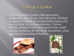 Turkijos geografinė padėtis 3