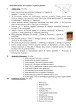 Lietuvos dirvožemiai ir organinis pasaulis 
