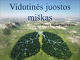 Vidutinės juostos miškas