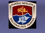 Kuršių nerijos nacionalinis parkas: augalija ir gyvūnija 1