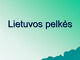 Lietuvos pelkės prezentacija