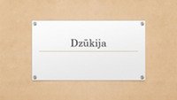Dzūkijos geografija 1