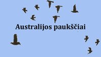 Australijos paukščiai 1