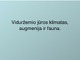 Viduržemio jūra skaidrės