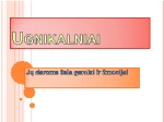 Ugnikalniai skaidrės 1